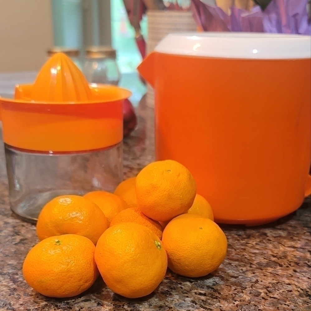 Vintage Juicer Orange in color